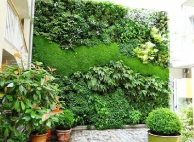绿植墙