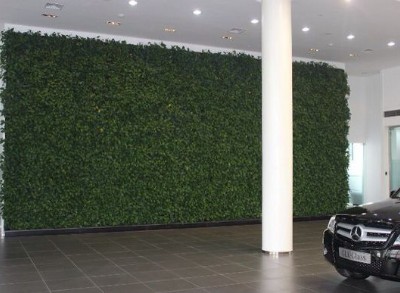 绿植墙