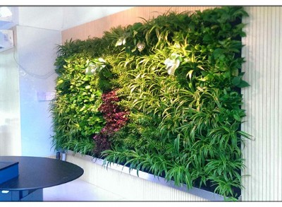 绿植墙
