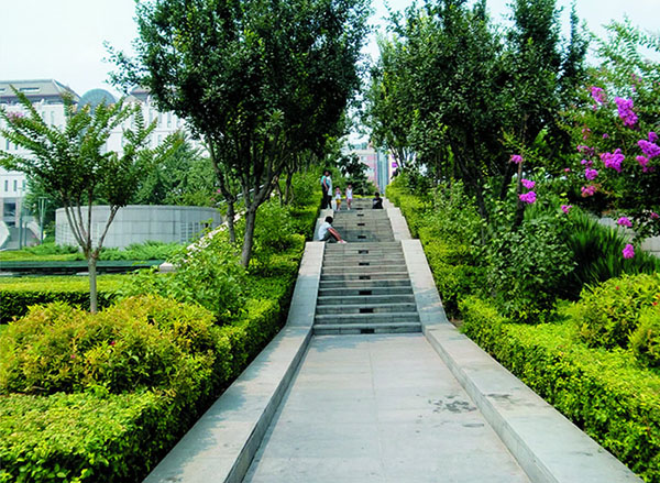 文化广场园林绿化工程