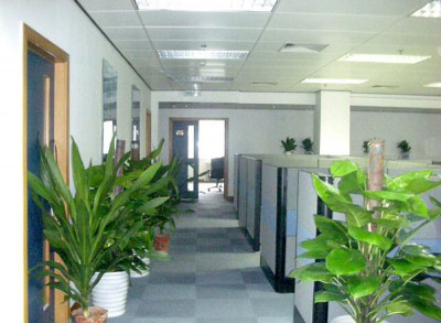 办公室绿化租赁