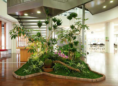 办公室绿化租赁