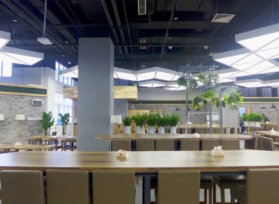 餐厅咖啡厅绿植租赁